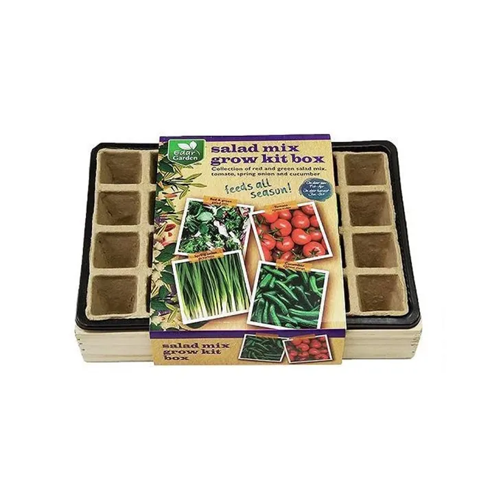 Hộp trồng rau trộn salad