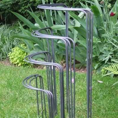 Cây cung bị rỉ sét tự nhiên hỗ trợ